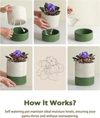 Self Watering Pots for Indoor Plants, 6 Inch Ceramic Self Watering Plant Pot - Image 6