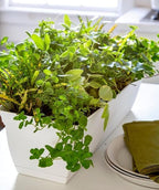 The HC Companies 24 Inch Eclipse Window Planter Box - Image 4