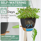 ZMTECH 12 Inch Hanging Planters - Image 4