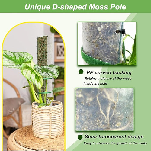 40" Metal Moss Pole, D Shape Sphagnum Moss Pole, Moss Poles - Image 2
