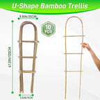10 Pack 4ft U-Shape Bamboo Trellis - Image 2