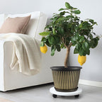 Large-Planter-Indoor-Outdoor Plant Pots, 12 inch 4 Pack Plastic Flower Pots - Image 7