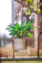Melphoe 2 Pack Self Watering Hanging Planters Indoor Flower Pots, 6.5 Inch - Image 8
