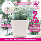 GARDENIX DECOR 5" Self Watering pots - Image 6
