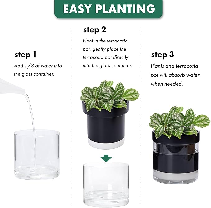 Phoenix Vine 6 Inch Self Watering Terracotta Planter - Image 7