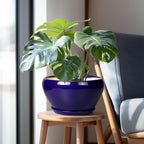 Ceramic Pot for Plants - Image 5