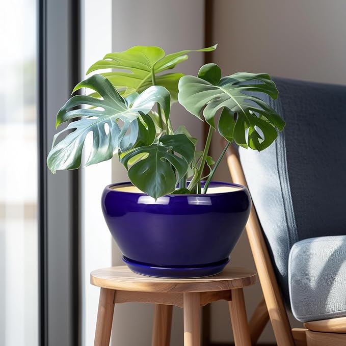 Ceramic Pot for Plants - Image 5