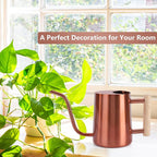 Watering Can Indoor Plants, 35oz Small Stainless Steel Metal Watering Can - Image 3