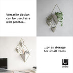 Umbra Trigg Hanging Planter Vase Wall Decor, Faux Plants, and More - Image 6