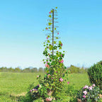 Trellis for Climbing Plants Outdoor, 2 Pack 73inch Tall Plants Trellis Support - Image 7