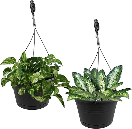 10in Euro Hanging Planters for Indoor Plants 2 Pieces 10inch Hanging Planter by J3A+Collections