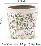 Ceramic Planter with Drainage Hole, Plastic Tray & Mesh, 6 Inch - Image 5