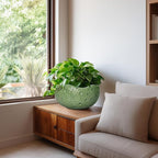 Ceramic Pots for Plants - Image 6
