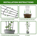 4 Pack 30 InchTaller Plant Trellis - Image 5
