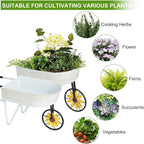 BAYN Metal Wheelbarrow Flower Cart Planter, 2 Packs Plant Stands - Image 5