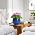 6 Inch Self Watering Pots, Ceramic African Violet Planter - Image 6