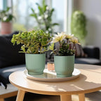 T4U 4 Inch Plant Pots Self Watering, 6 Pack African Violet Pots, Small Plant - Image 10