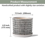 8 Inch Plant Pot: Ceramic Planter - Image 2