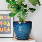 8 Inch Ceramic Planter Pot - Image 3