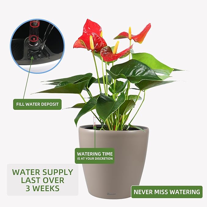 Dexceder 18x17 Self Watering Planter - Image 5