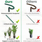 8 Pack Half Round Snake Plant Support Stakes Sets - Image 5