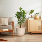 Ceramic Plant Pots - Image 7