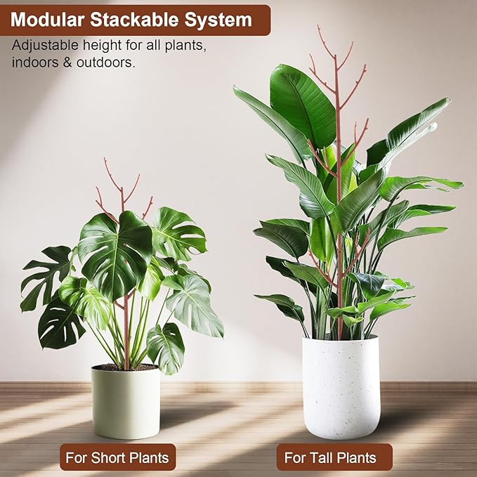 6 Pack Stackable Monstera Plant Support, Plant Stakes - Image 6