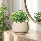 G EPGardening Ceramic Planter - Image 6