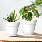 7 Inch Thick Plastic Plant Pots - Image 6