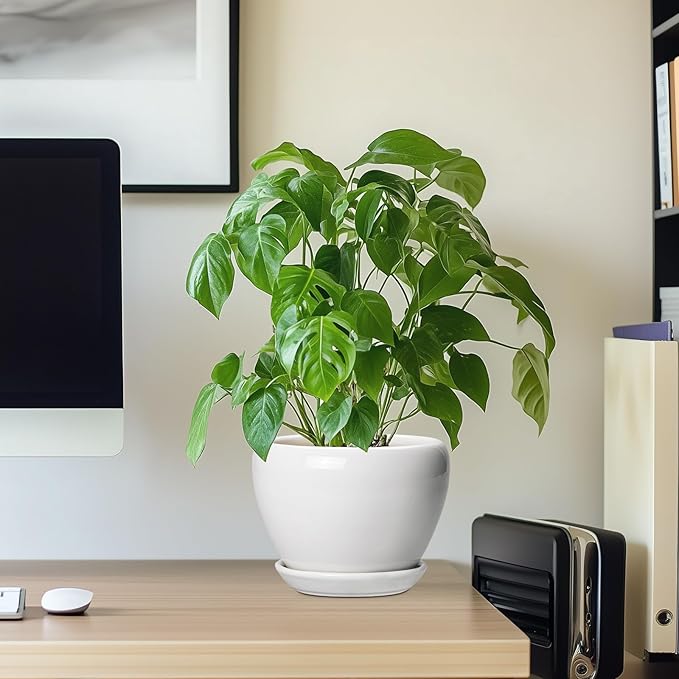Ceramic Pot for Plants - Image 7