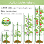 Legigo 4-Pack Tomato Cage for Garden Plant Support- Up to 63inch Garden Stakes - Image 2