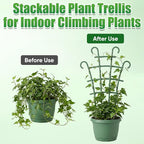 6Pcs Indoor Small Trellis, Trellis - Image 3