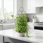 Plant Trellis for Climbing Plants Indoor Outdoor, Trlzey 3 Pack Stackable Metal - Image 7