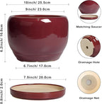 SQOWL Ceramic Pot for Plants - Image 3