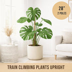 Moss Pole Monstera Plant Support – 2 Pack 28” Bendable Moss Pole Monstera Plant - Image 4