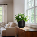 8 Inch Plant Pot - Image 6