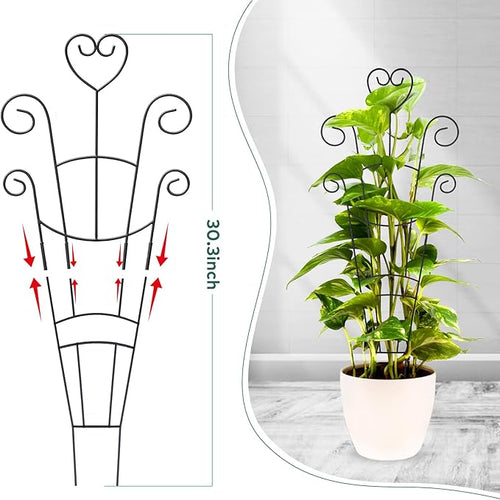 30 Inch Plant Trellis for Climbing Plants Indoor, Outdoor Metal Garden Trellis - Image 2