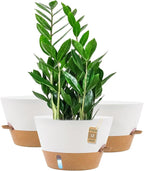 12-Inch Self Watering Planters by FIASON