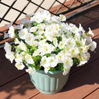 Artificial Flowers for Outdoors, UV Resistant Fake Silk Morning Glory, by maxkes
