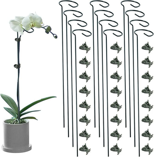 12 Pack Plant Support Stakes by Auaok