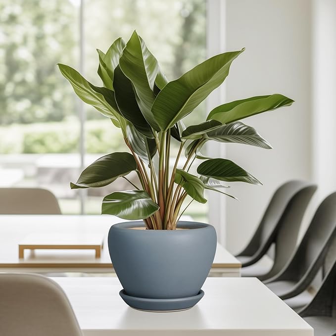 Ceramic Pot for Plants - Image 7