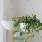 LA JOLIE MUSE 10 Inch Hanging Planters - Image 5