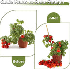Plant Stakes 18inch, HAINANSTRY Plant Support Stakes - Image 6
