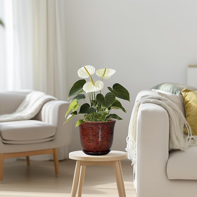 Ceramic Plant Pots - Image 7