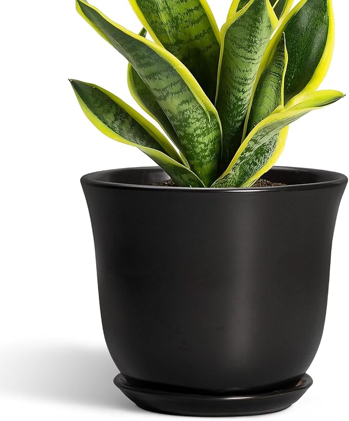 8 Inch Plant Pot by SUNPOTFOR