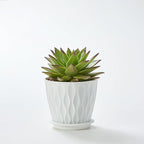 FaithLand 6-Pack 6-Inch Plastic Plant Pots - Image 7