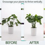 5PCS Monstera Plant Stem Support 7.3*6.25IN Adjustable Holder - Image 3