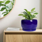 SQOWL Ceramic Plant Pot - Image 7