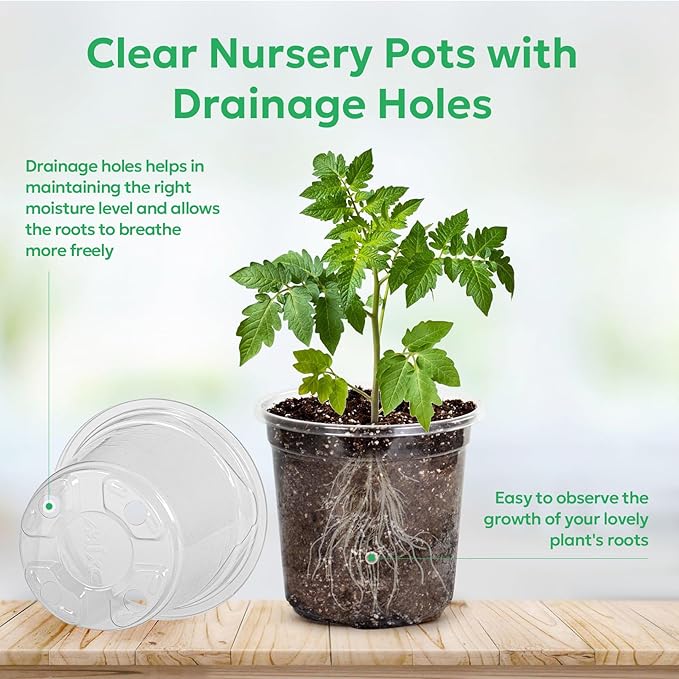 50 Packs 4 Inch Reinforced Clear Nursery Pots - Image 3