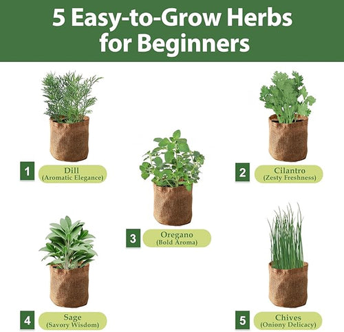 5 Herb Garden Planter Indoor - Image 2